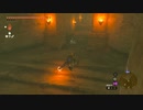 【Switch】リンクがゾナウとゼルダ探し旅【プレイ動画】part93