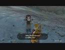 【Switch】リンクがゾナウとゼルダ探し旅【プレイ動画】part94