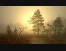 【MV】MyWorld_金成亮
