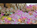 【ハッピーボタニカル】長山・知由理｜Chiyuri-Nagayama