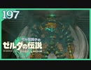 #197【ゼルダの伝説ティアーズオブザキングダム】ちょっと世界を翔けてくる【実況プレイ】
