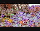 【ハッピーボタニカル】長山・知由理｜Chiyuri-Nagayama