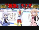 【ポケモンSV】ご注文は最強うさぎですか？【エースバーン】
