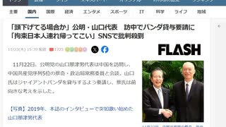 公明党パンダ