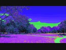 【ハッピーボタニカル】長山・知由理｜Chiyuri-Nagayama