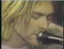 NIRVANA　/　sappy