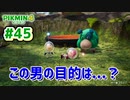 【ピクミン4】投げて！運んで！戦って！新人隊員奮闘記_Part45【実況】