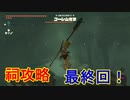 ゼルダを求めて IQ3が逝く[ゼルダの伝説ティアーズオブザキングダム]実況プレイ88