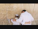 Komoe 古茂江 菰江 / DJ Shinsuke !