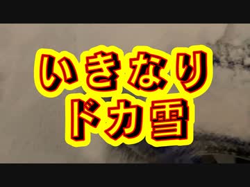 たった半日で景色が変わる大雪