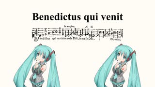 初音ミク - Benedictus qui venit (てくね Cover)