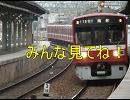 色々撮影したものをＮＭＭで編集してみた。