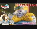 反逆のブタネコ「キャット・リベリオ」【ドラゴンクエストX】Part 22