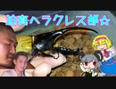 迫真ヘラクレス部☆