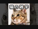 【サクッとぬこ雑学】001│猫の走る速度│猫の視力│猫の鼻│猫の聴力│猫の魚好き│