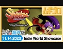 【海外版】インディーワールド｜Indie World Showcase 11.14.2023 - Nintendo Switch｜シャンティ Advance: Risky Revolution【反応】
