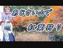 【自転車車載】あじさい山で紅葉狩り【鳴花ミコト】