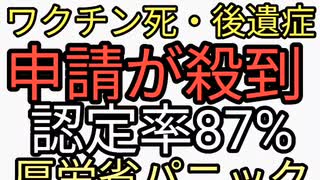 厚労省ワクチン薬害パニック！ワクチン後遺症救済制度に被害者殺到。認定率87%。日本オワッタ