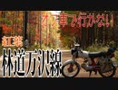 【ななまる日記】オフ車で行かない林道ツーリング　秋の万沢林道編
