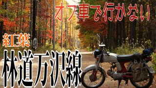 【ななまる日記】オフ車で行かない林道ツーリング　秋の万沢林道編