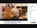 【ゆのんちゃん】「【 ゆのん©︎配信対抗！歌枠合戦応援中魔界\^ ^/】！⚡︎☆擬似家族がみかんをくださった魔界♡✴︎」　①【2023/11/27】