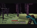 【マイクラ】ジ・エンド探索①【無声】