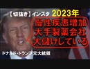 2023年情報　トランプ？