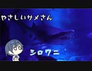 つづみの10秒おさかな解説#17　シロワニ