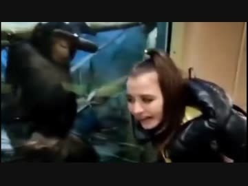 ホモと見る自慢の息子を女に見せつけるサル