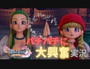 【ゲーム実況】【ドラクエ11】姉妹の再会に歓喜！陽キャなパーティーに興奮が止まらない実況パート14【実況プレイ】
