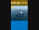 養殖魚も汚染されている！