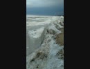 ホモと見る氷の津波
