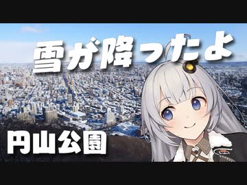 冬さんぽin円山公園