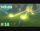 帯電耐性なさ過ぎた末路　「ゼルダの伝説～ティアーズ・オブ・ザ・キングダム」　＃58