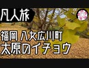 【凡人旅】太原のイチョウに行く