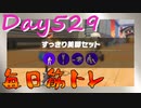 【毎日投稿】ムキ・ムキ・ムキへの道！！！【RFA負荷23】#529