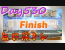 【毎日投稿】ムキ・ムキ・ムキへの道！！！【RFA負荷23】#530