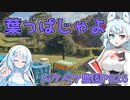 2023年11月27日　農作業日誌P826　大根は終わったけど安かった模様、そして次はいつも葉物野菜