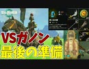 もう思い残すことはないように【ゼルダの伝説 ティアーズ オブ ザ キングダム】#155