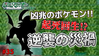 失ったポケモンは二度と戻らない。【ポケモンエメラルド】#35