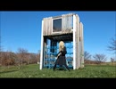 Royal Jester -  Night Is Young cover　おかま