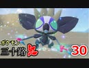 【実況】ポケモン三十路紅【part30】