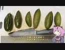 珍食材が食べたい！#166 ポトルの味噌煮