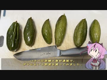 珍食材が食べたい！#166 ポトルの味噌煮