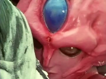 ブルースワット 第31話「異星人（エイリアン） 純情す・・・」