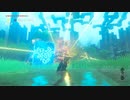 ゼルダの伝説　ブレス オブ ザ ワイルド　実況プレイPart110