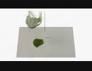 トラッキング3Dピーマン