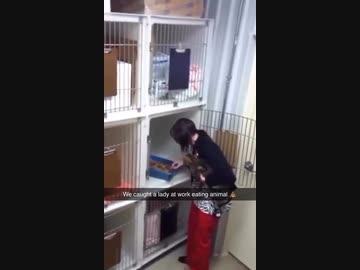 ホモと見るこっそり動物のクソを食べていた女