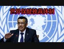 国連とWHOは全権を掌握した「世界保健独裁体制」で人類の完全な奴隷化を目論んでいる