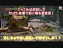 【MHRiseゆっくり実況】カムラの里に逆幻想入りするそうですよ？　part10【モンハンライズ】